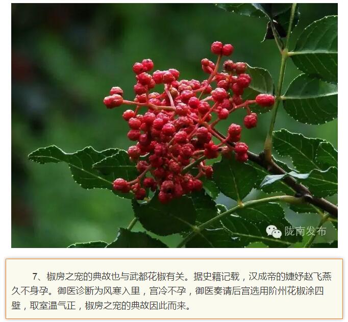 蘭渝鐵路最早由孫中山先生提出？在隴南，你不知道的事兒還有……