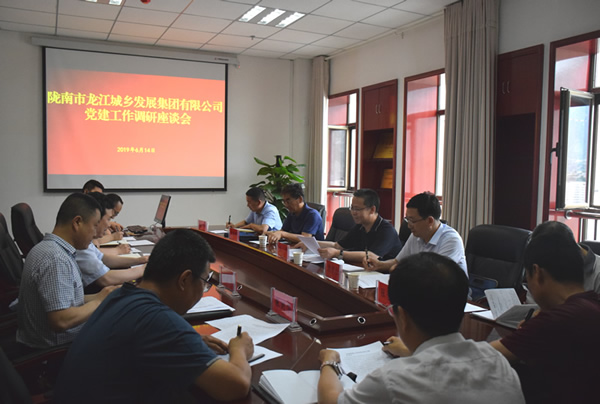 隴南市委常委、組織部部長(zhǎng)楊郃調(diào)研指導(dǎo)市龍江城鄉(xiāng)發(fā)展集團(tuán)公司黨建工作