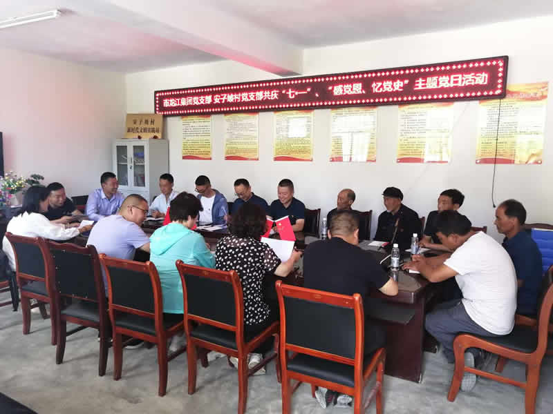 “感黨恩、憶黨史”，--市龍江城鄉(xiāng)發(fā)展集團(tuán)公司開展慶祝建黨99周年主題黨日活動(dòng)