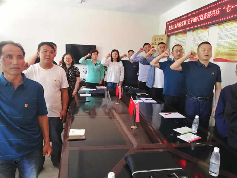 “感黨恩、憶黨史”，--市龍江城鄉(xiāng)發(fā)展集團(tuán)公司開展慶祝建黨99周年主題黨日活動(dòng)