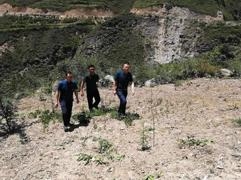 “感黨恩、憶黨史”，--市龍江城鄉(xiāng)發(fā)展集團(tuán)公司開展慶祝建黨99周年主題黨日活動(dòng)